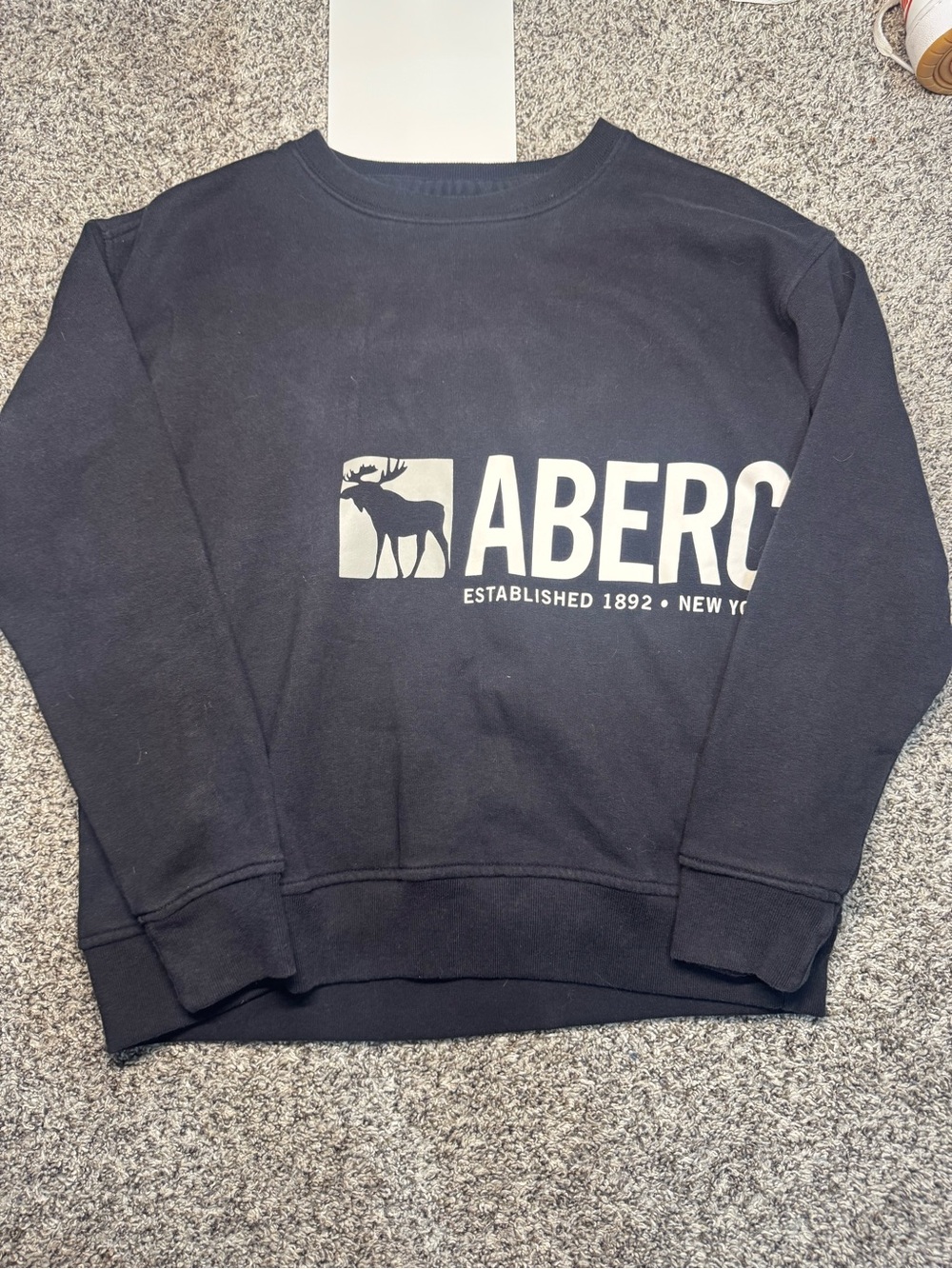 boys ABERCROMBIE sweatshirt